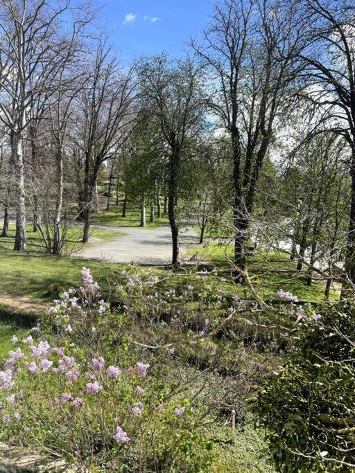 Residence Harmonie Appartement N 2 Meuble Avec Petit Dejeuner Néris-les-Bains Zewnętrze zdjęcie